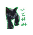 猫だくさん vol.1（個別スタンプ：14）