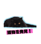 猫だくさん vol.1（個別スタンプ：23）