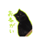 猫だくさん vol.1（個別スタンプ：26）