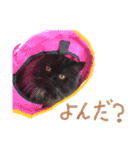 猫だくさん vol.1（個別スタンプ：28）