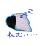 猫だくさん vol.1（個別スタンプ：30）