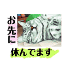 千笑スタンプ（個別スタンプ：14）