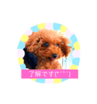ぷりみ（個別スタンプ：4）