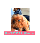 ぷりみ（個別スタンプ：8）