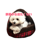 ちゃむ様スタンプ（個別スタンプ：5）