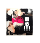 ちゃむ様スタンプ（個別スタンプ：8）