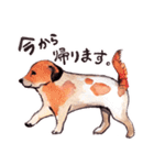 リアル キュートわんこ（個別スタンプ：8）