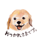リアル キュートわんこ（個別スタンプ：16）