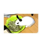 白うさぎのさくらちゃん（個別スタンプ：7）