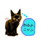 エルフなんだニャ（個別スタンプ：1）