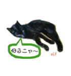 エルフなんだニャ（個別スタンプ：6）