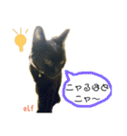 エルフなんだニャ（個別スタンプ：10）