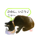 エルフなんだニャ（個別スタンプ：12）