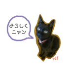 エルフなんだニャ（個別スタンプ：13）