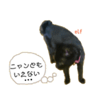 エルフなんだニャ（個別スタンプ：16）