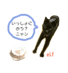 エルフなんだニャ（個別スタンプ：19）