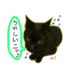 エルフなんだニャ（個別スタンプ：20）