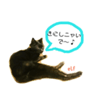 エルフなんだニャ（個別スタンプ：27）