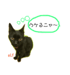 エルフなんだニャ（個別スタンプ：30）