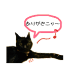 エルフなんだニャ（個別スタンプ：31）