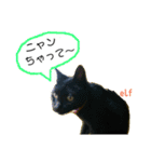 エルフなんだニャ（個別スタンプ：35）