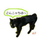 エルフなんだニャ（個別スタンプ：36）