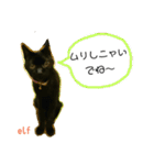 エルフなんだニャ（個別スタンプ：40）