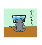 目つきの悪いコアラ（個別スタンプ：5）