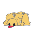 ラッキーピッグ-2（個別スタンプ：11）