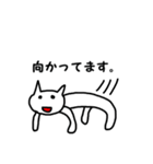 癒し白い猫のスタンプ（個別スタンプ：10）