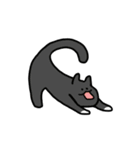 優しい猫たち。（個別スタンプ：16）