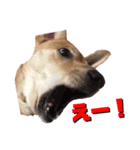 茶々子です（個別スタンプ：5）