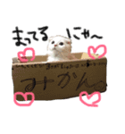 ラヴたんと時々ひよ。（個別スタンプ：1）