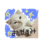 ラヴたんと時々ひよ。（個別スタンプ：2）