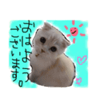 ラヴたんと時々ひよ。（個別スタンプ：3）