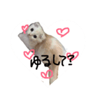 ラヴたんと時々ひよ。（個別スタンプ：12）