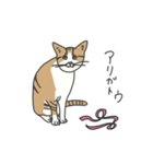 ピキーちゃん（個別スタンプ：5）