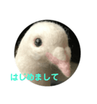 happy白鳩じゅんちゃん（個別スタンプ：2）