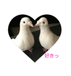 happy白鳩じゅんちゃん（個別スタンプ：3）