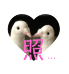 happy白鳩じゅんちゃん（個別スタンプ：14）