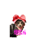 可愛いうちの猫ちゃん（個別スタンプ：7）