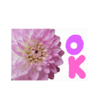 花と日常〇使いやすい（個別スタンプ：1）