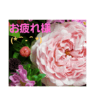 花と日常〇使いやすい（個別スタンプ：6）