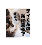 tina- kun（個別スタンプ：1）