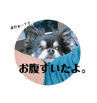 tina- kun（個別スタンプ：9）