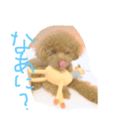 犬が好きなメッセージ（個別スタンプ：1）