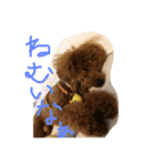 犬が好きなメッセージ（個別スタンプ：3）
