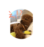 犬が好きなメッセージ（個別スタンプ：4）
