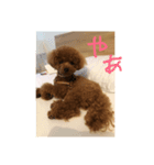 犬が好きなメッセージ（個別スタンプ：8）