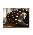 おもちのスタンプ 1（個別スタンプ：7）